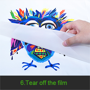 1 kg di polvere adesiva a fusione calda polvere di trasferimento TPU bianca per la stampa DTF 7