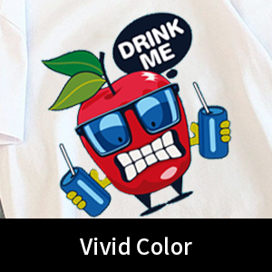 A4 / A3 DTF Film da stampante Cold Peel 75U Spessore PET Film di rilascio Non adesivo 2