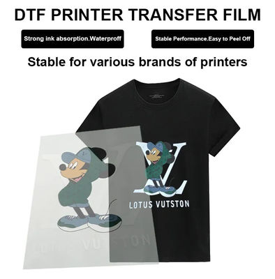 Film per stampa DTF 42cm*100M lucido inchiostro bianco opaco Film per indumenti