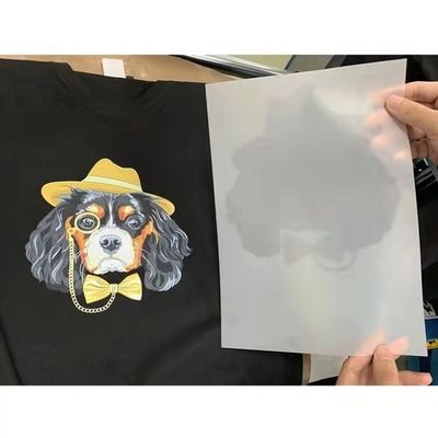 A4 A3 PET DTF Film Roll Digital Inkjet Printing Film Per L1800 XP600 3880 3800