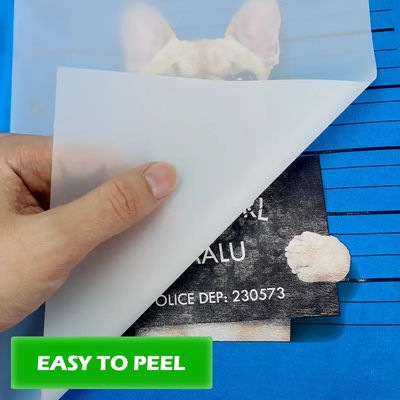 Massimizza il tuo potenziale di stampa con materiali di stampa DTF 30cm*100m 75U rilascio pet film roll Cold peel a doppio lato