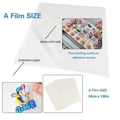 Film di stampa a trasferimento freddo in polimero A e B Film UV DTF PET Sticker Film Roll 30cm