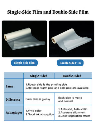 Peeling a caldo a doppio lato 30cm 33cm 43cm 60cm Roll DTF PET Film per la stampante I3200 Dtf