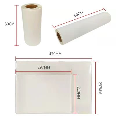 DTF Film Hot Peel Double Matte 30cm*100m Instant Peel film per stampa con inchiostro bianco