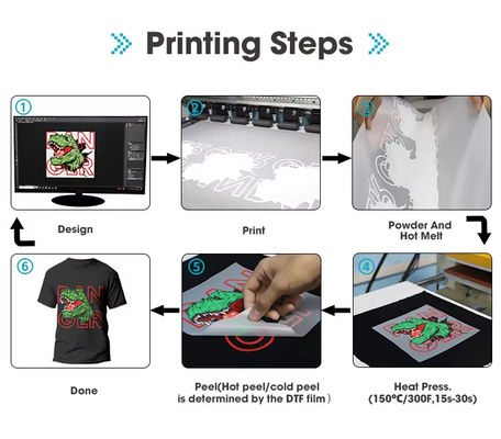 Diretto alla stampa a pellicola 5 Lit PET Super Inktank Tank Ink Per Epson L1800 DTF PET T-Shirt printer