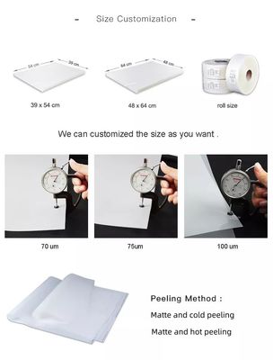 Film di stampa in poliestere di silicone da 100 micron per la stampa offset e serigrafica