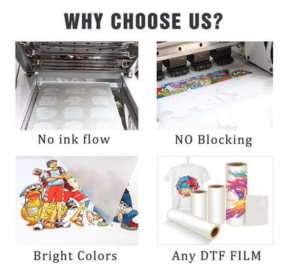 Inchiostro DTF a base d'acqua a base di PET Inchiostro DTF a base d'acqua CMYK+W Inchiostro a colori Inchiostri per stampanti per tessili