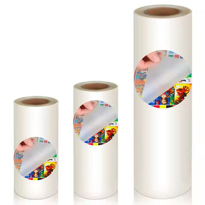 60CM x 100M DTF PET Film Roll Heat Transfer Film per abbigliamento con compatibilità TPU in polvere