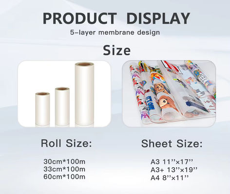 300 mm Larghezza di stampa A3 DTF Innovative