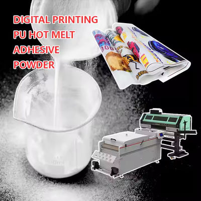 DTF polvere di TPU a fusione calda per stampe personalizzate di alta qualità (1 kg, 2 kg)